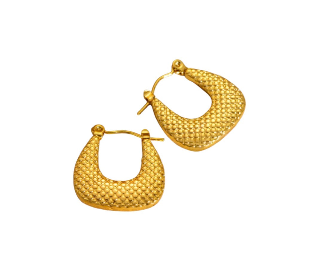 Soni Hoops
