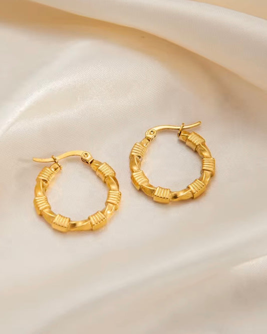 Dani Hoops